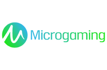 ค่ายเกมสล็อต  MicroGaming